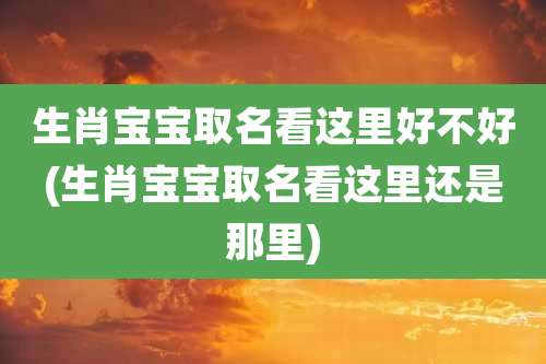 生肖宝宝取名看这里好不好(生肖宝宝取名看这里还是那里)