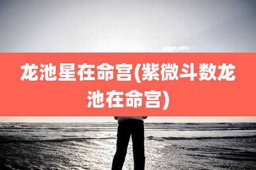 龙池星在命宫(紫微斗数龙池在命宫)