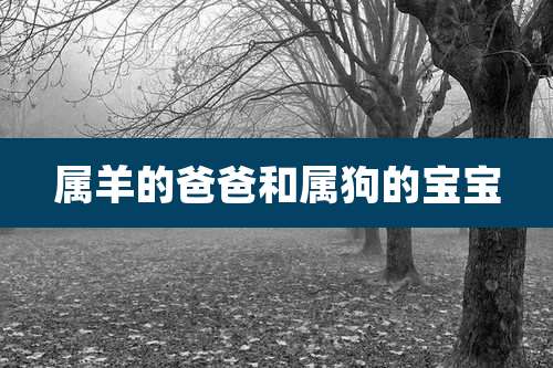 属羊的爸爸和属狗的宝宝