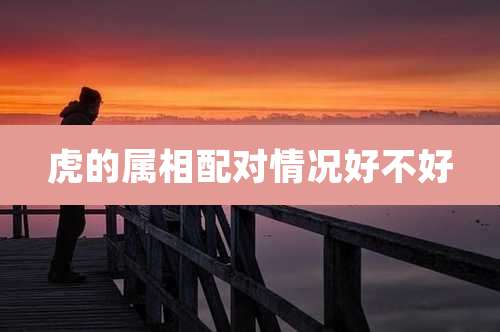虎的属相配对情况好不好