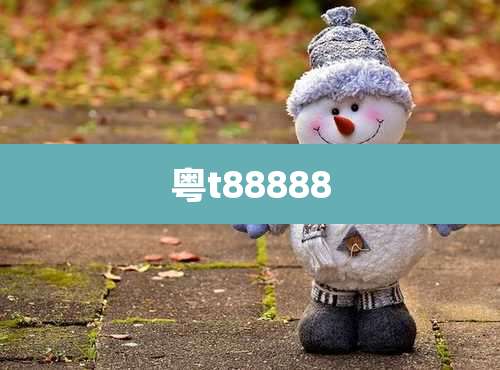 粤t88888