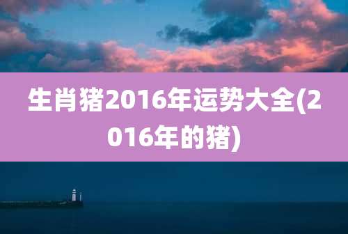 生肖猪2016年运势大全(2016年的猪)