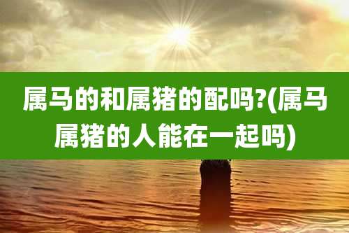 属马的和属猪的配吗?(属马属猪的人能在一起吗)