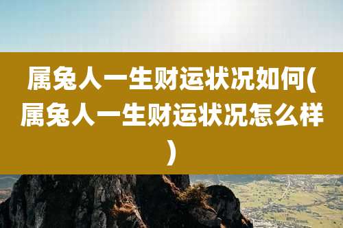 属兔人一生财运状况如何(属兔人一生财运状况怎么样)