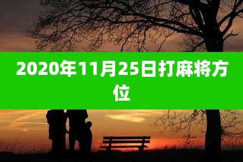 2020年11月25日打麻将方位
