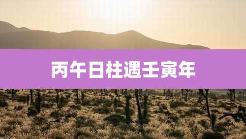 丙午日柱遇壬寅年