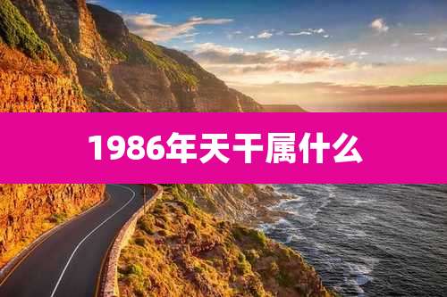 1986年天干属什么
