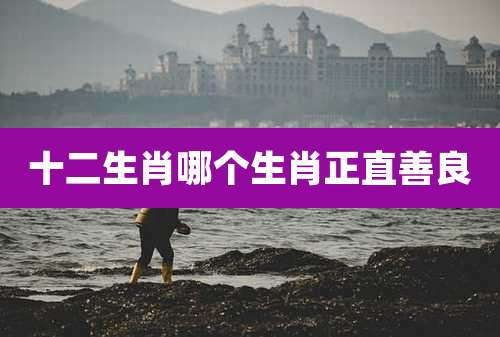 十二生肖哪个生肖正直善良