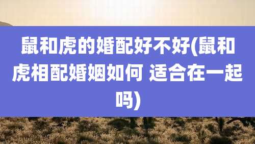 鼠和虎的婚配好不好(鼠和虎相配婚姻如何 适合在一起吗)