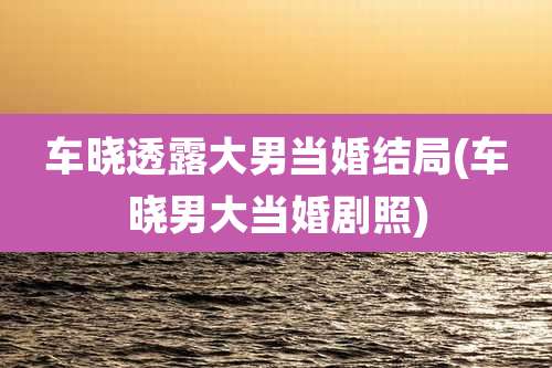 车晓透露大男当婚结局(车晓男大当婚剧照)