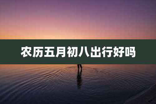 农历五月初八出行好吗