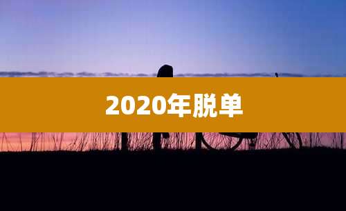 2020年脱单