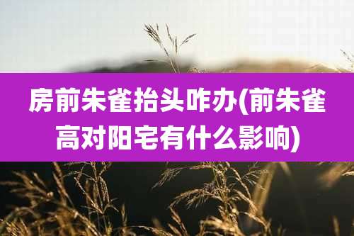 房前朱雀抬头咋办(前朱雀高对阳宅有什么影响)