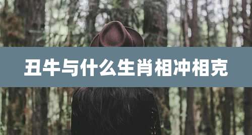 丑牛与什么生肖相冲相克