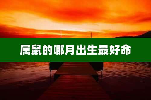 属鼠的哪月出生最好命