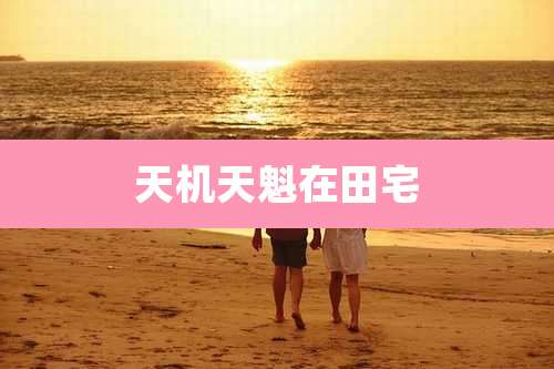 天机天魁在田宅