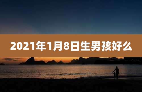 2021年1月8日生男孩好么