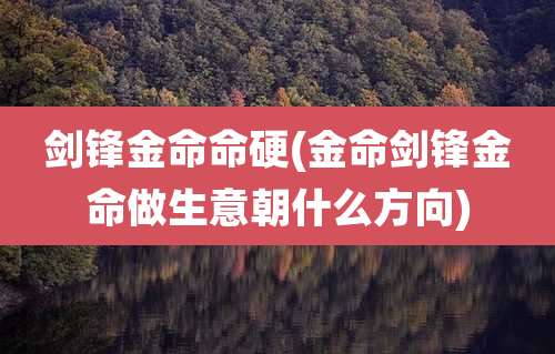 剑锋金命命硬(金命剑锋金命做生意朝什么方向)