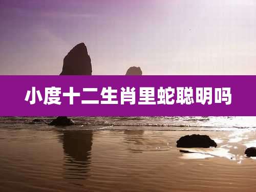 小度十二生肖里蛇聪明吗