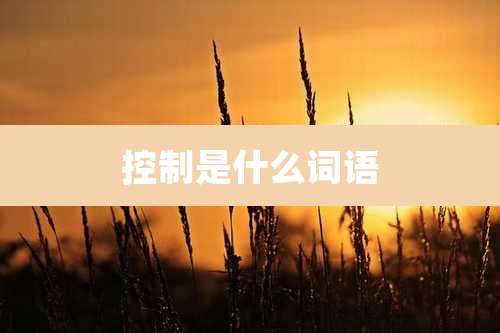 控制是什么词语