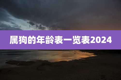 属狗的年龄表一览表2024