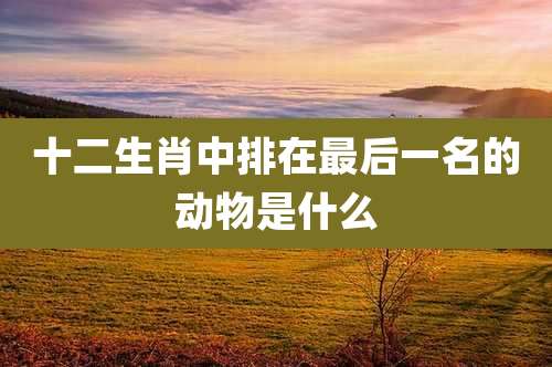 十二生肖中排在最后一名的动物是什么