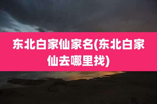 东北白家仙家名(东北白家仙去哪里找)