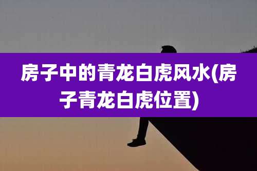 房子中的青龙白虎风水(房子青龙白虎位置)