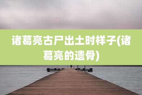 诸葛亮古尸出土时样子(诸葛亮的遗骨)