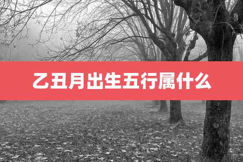 乙丑月出生五行属什么