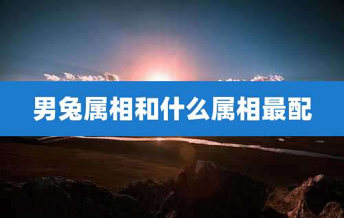 男兔属相和什么属相最配