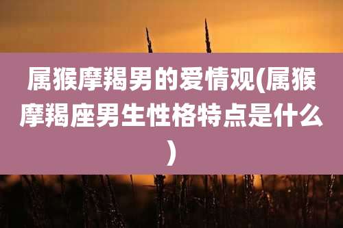 属猴摩羯男的爱情观(属猴摩羯座男生性格特点是什么)