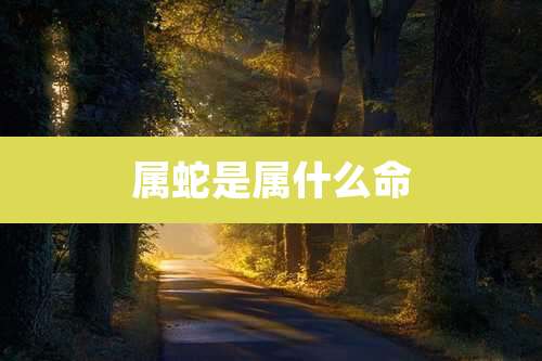 属蛇是属什么命