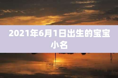 2021年6月1日出生的宝宝小名
