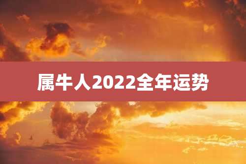 属牛人2022全年运势