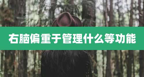 右脑偏重于管理什么等功能