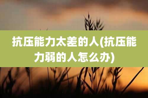 抗压能力太差的人(抗压能力弱的人怎么办)
