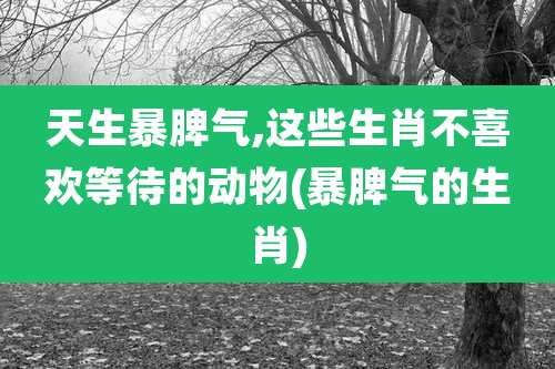 天生暴脾气,这些生肖不喜欢等待的动物(暴脾气的生肖)