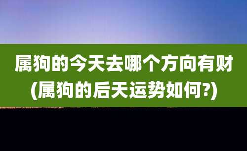 属狗的今天去哪个方向有财(属狗的后天运势如何?)