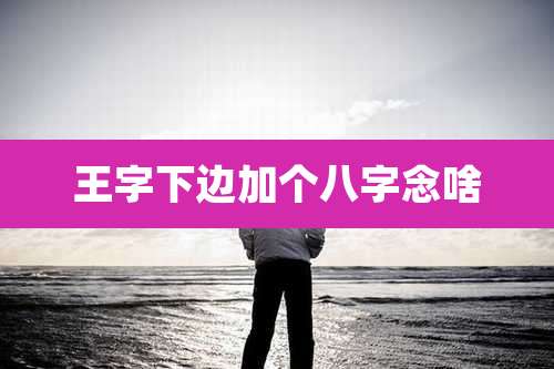 王字下边加个八字念啥
