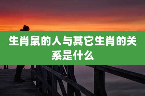 生肖鼠的人与其它生肖的关系是什么