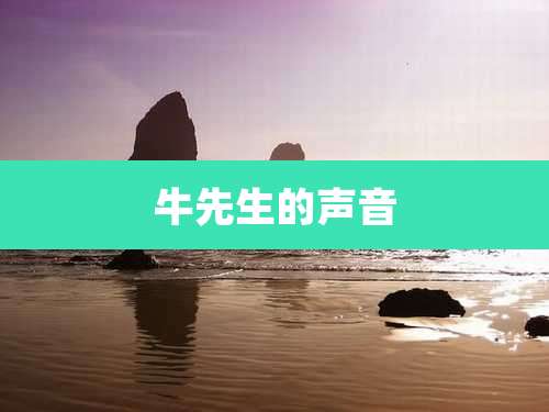牛先生的声音