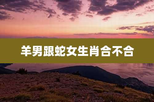 羊男跟蛇女生肖合不合