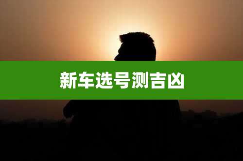 新车选号测吉凶