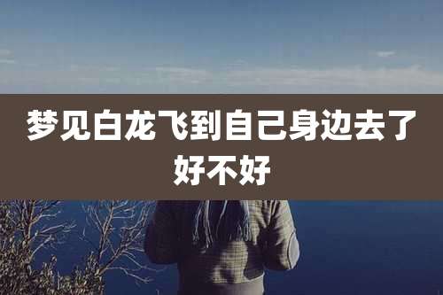 梦见白龙飞到自己身边去了好不好