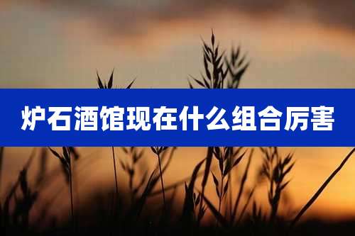 炉石酒馆现在什么组合厉害