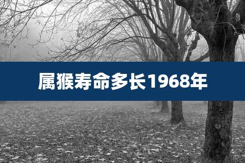 属猴寿命多长1968年
