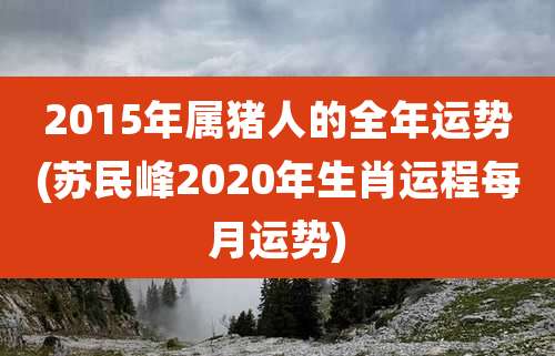 2015年属猪人的全年运势(苏民峰2020年生肖运程每月运势)
