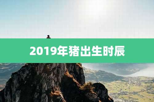 2019年猪出生时辰
