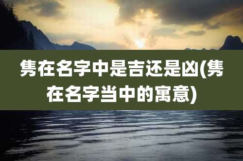 隽在名字中是吉还是凶(隽在名字当中的寓意)
